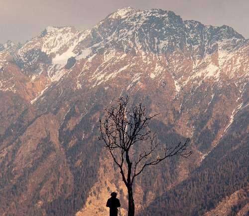 Auli in Summer