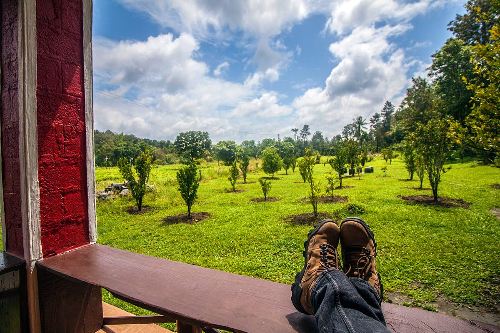 Coorg in Summer