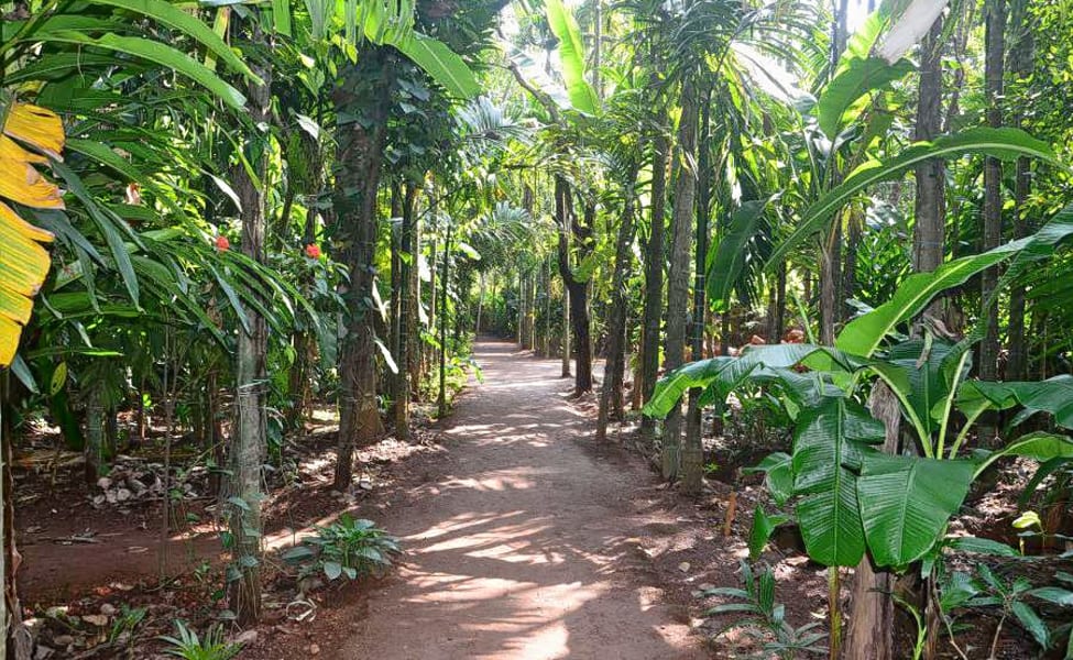 Spice Plantations Visit goa