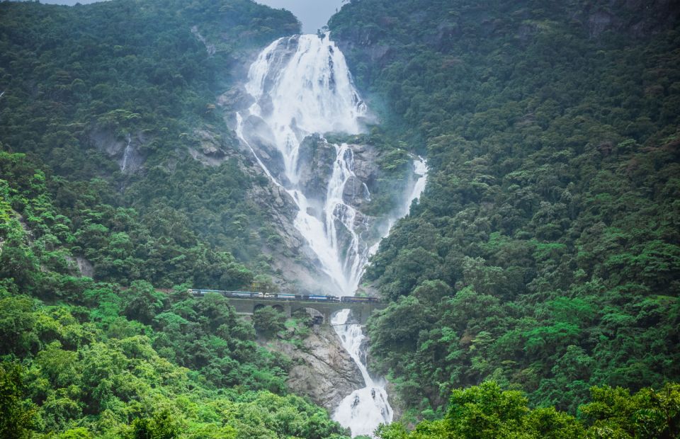 dudhsagar waterfalls goa