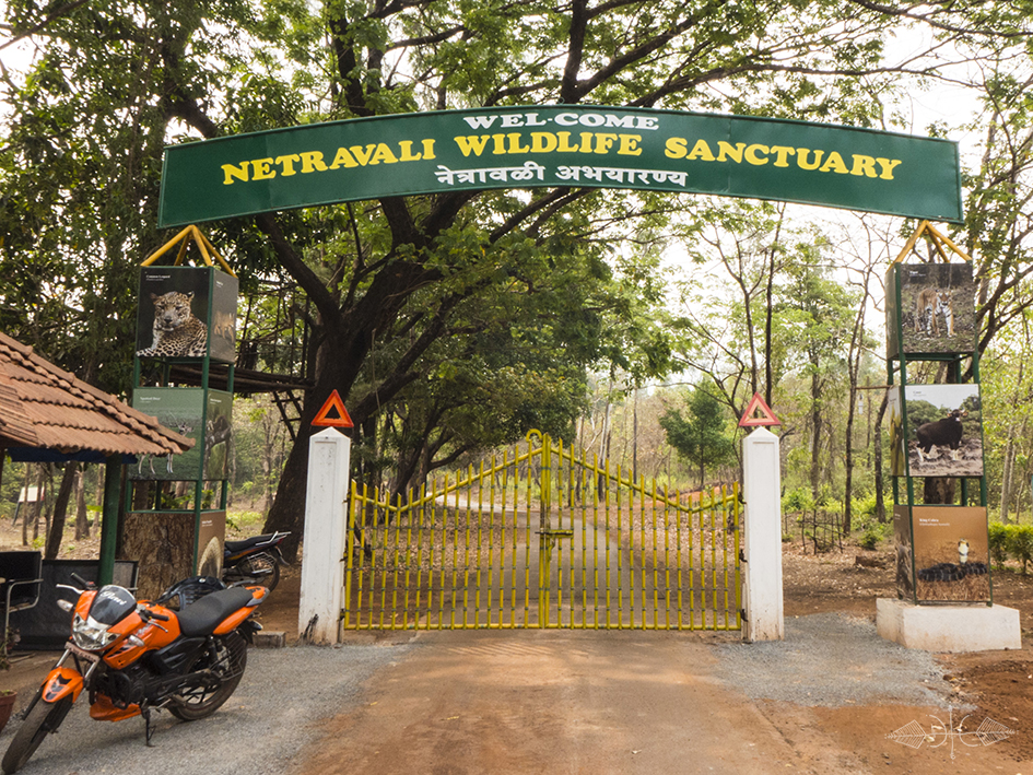 Netravali Wildlife Sanctuary