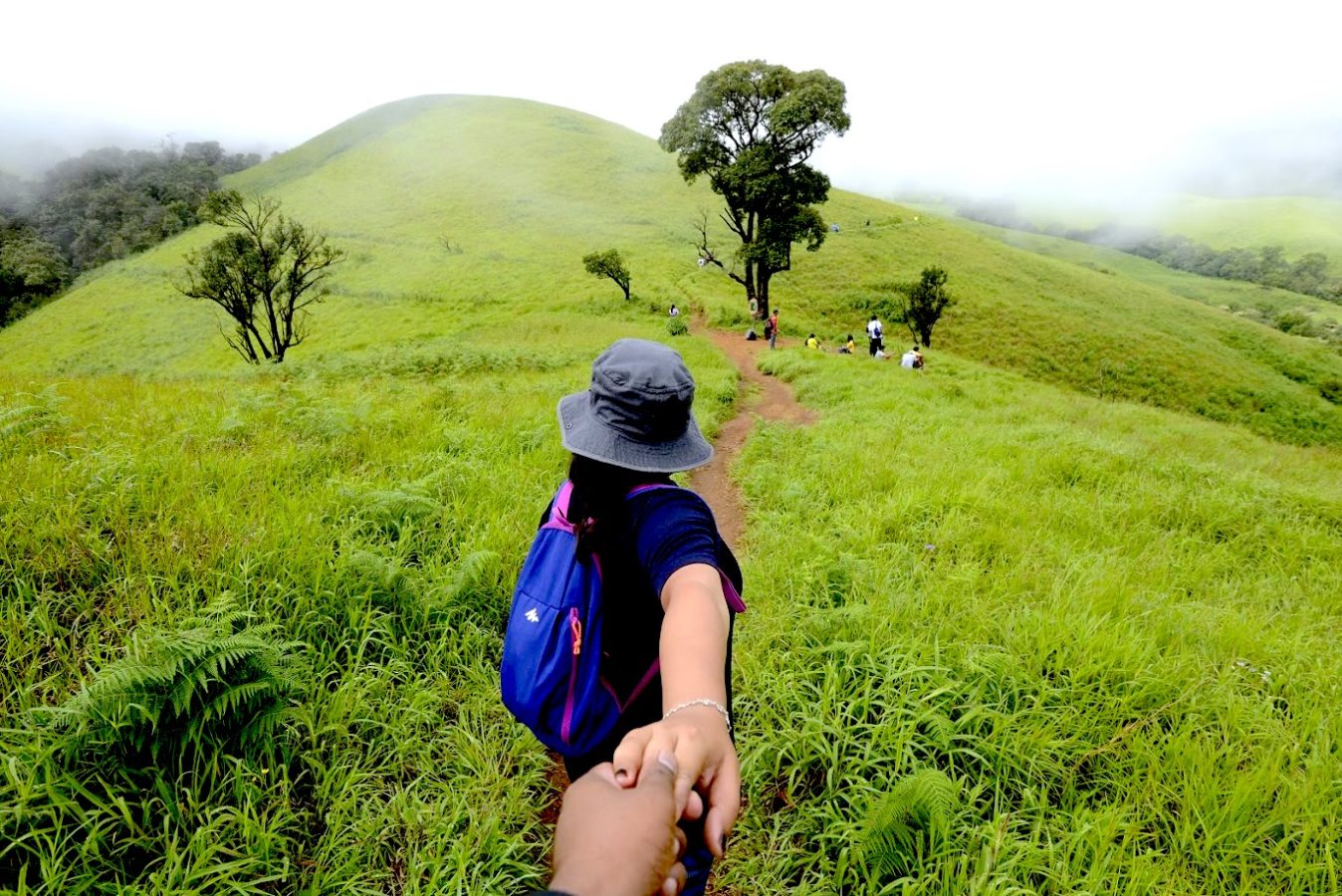 Kudremukh, Karnataka