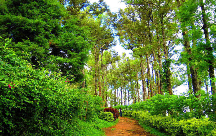 Nelliyampathy, Kerala