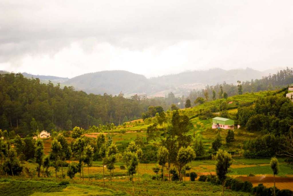 Bellikkal, Tamil Nadu