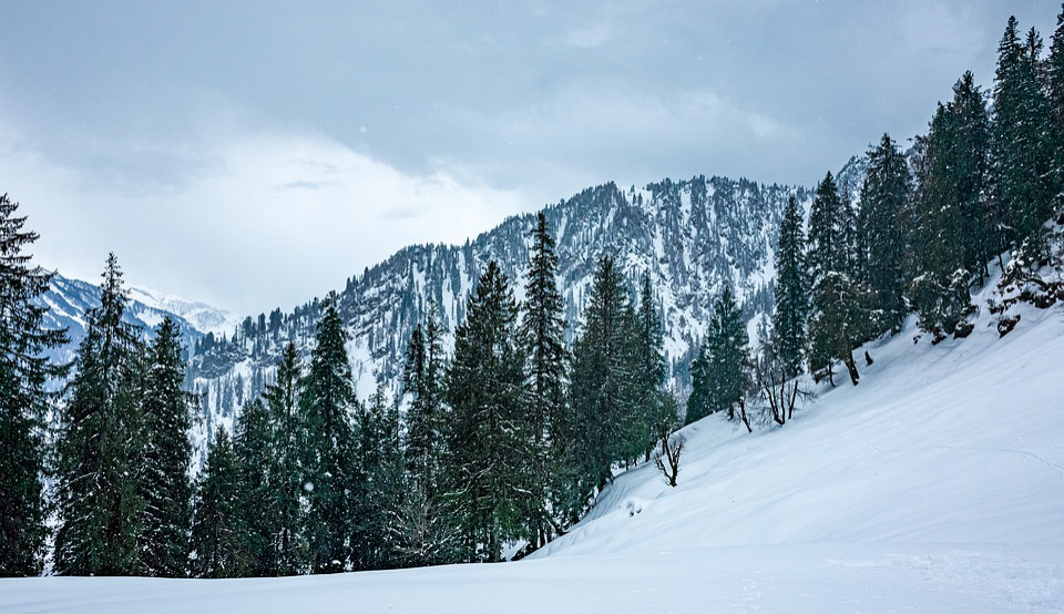 Manali