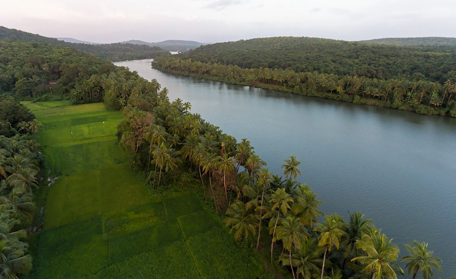 chapora river goa