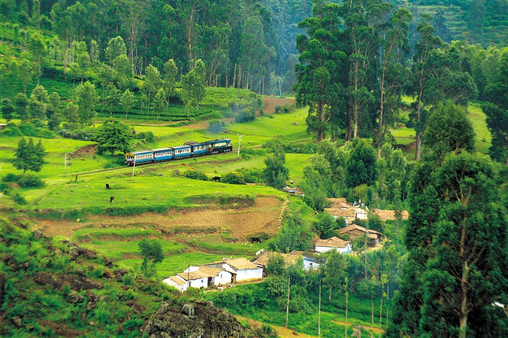 Ooty, Tamil Nadu