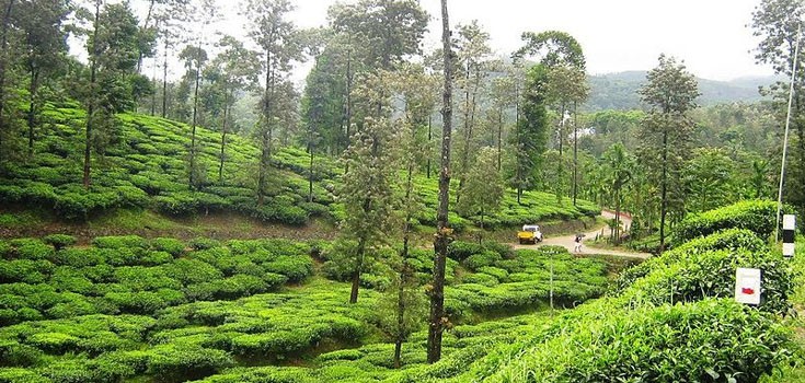 Peermede, Kerala
