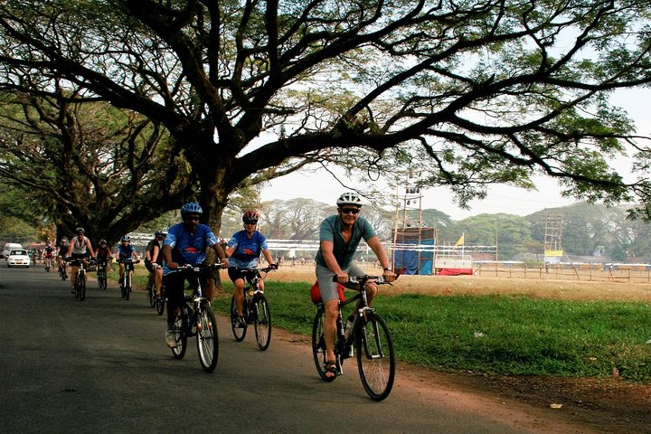 Kochi to Alleppey