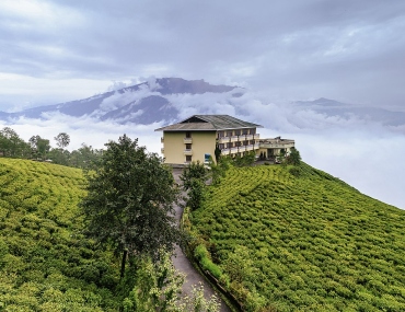 10 Popular Tea Estates in India to Visit