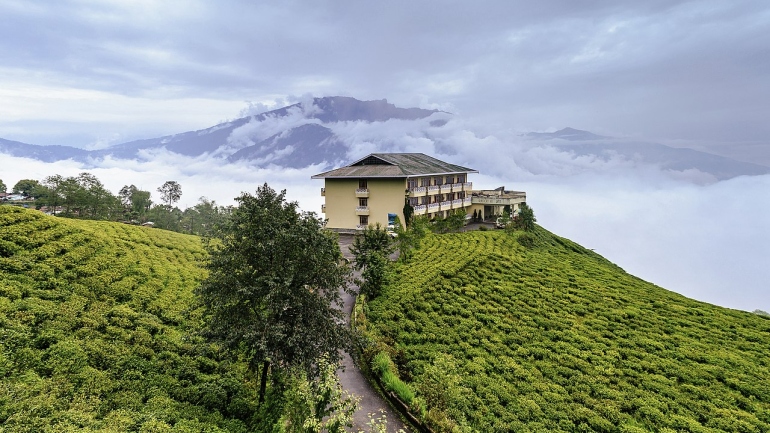 10 Popular Tea Estates in India to Visit