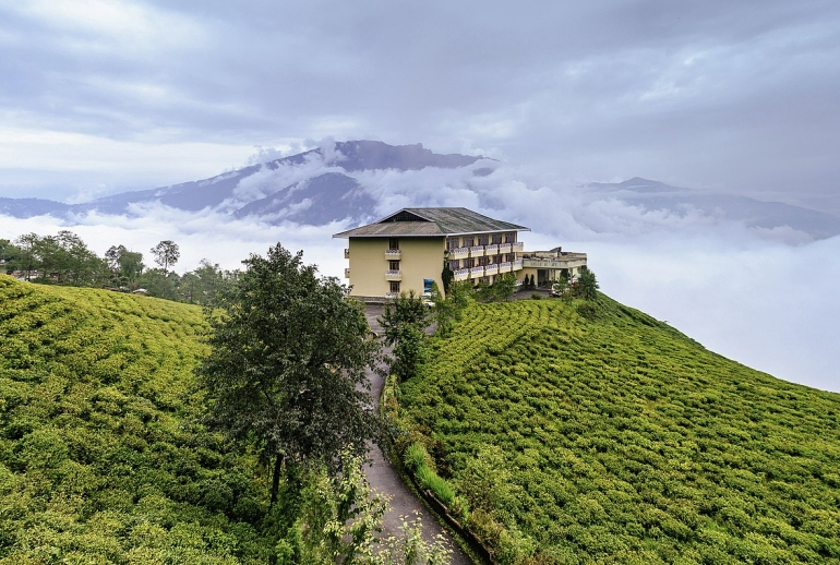 10 Popular Tea Estates in India to Visit