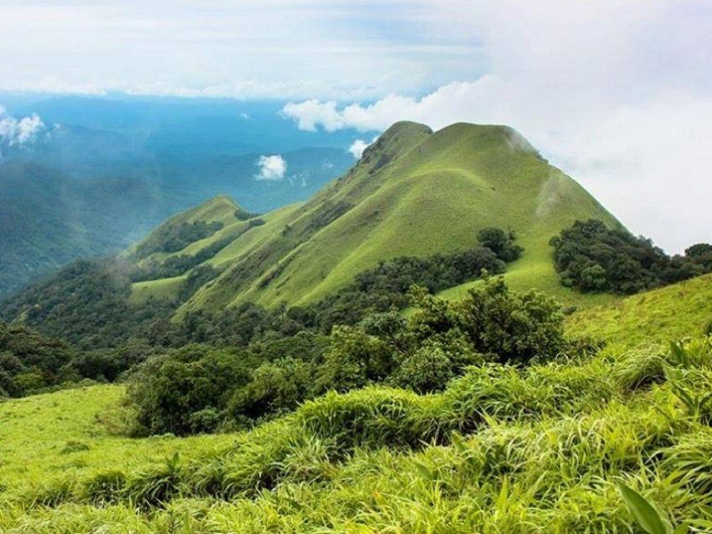 Coorg hill