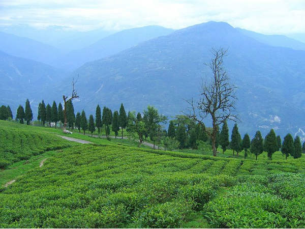 Gangtok