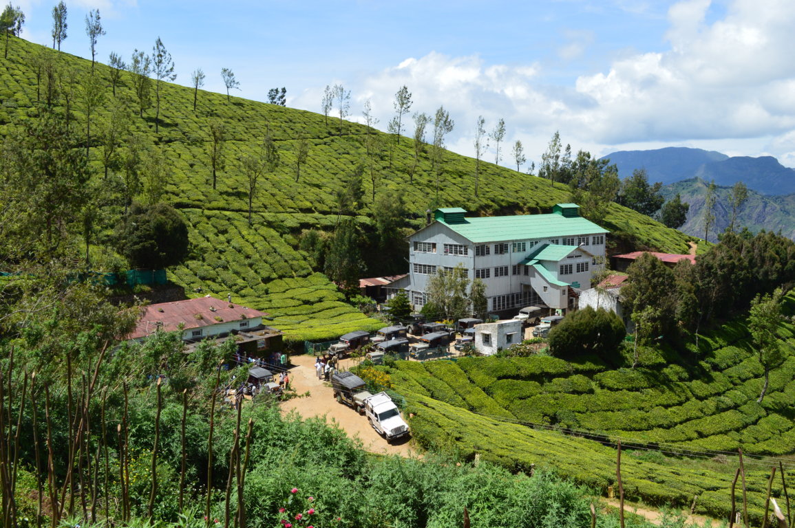 Kolukkumalai Tea Estate, Tamil Nadu