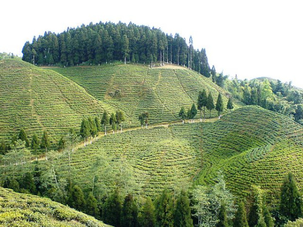 Mirik