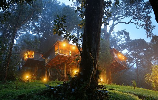 Munnar- Bliss of God’s Own Country