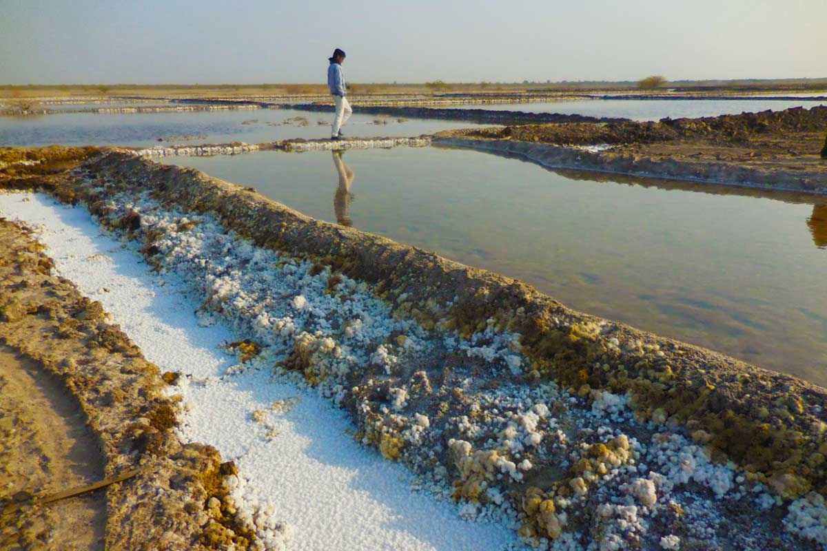 Rann of Kutch- Salt Marshland