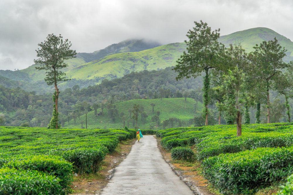 Wayanad- Abode of Ayurvedic Therapies