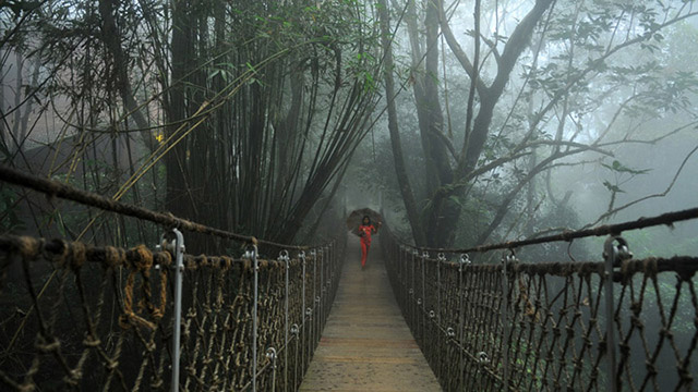 Wayanad hill