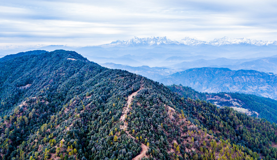 Hill Stations Binsar