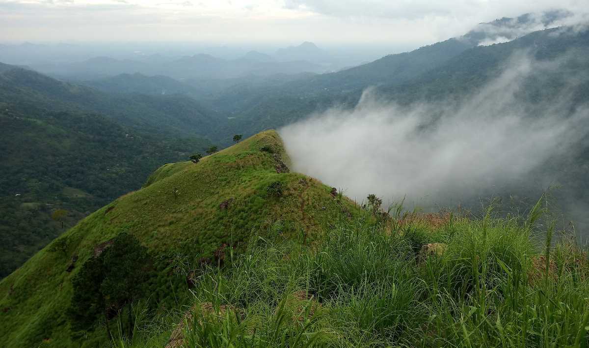 Dandeli hill station