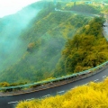 11 Picturesque Road Trips in India: A Guide