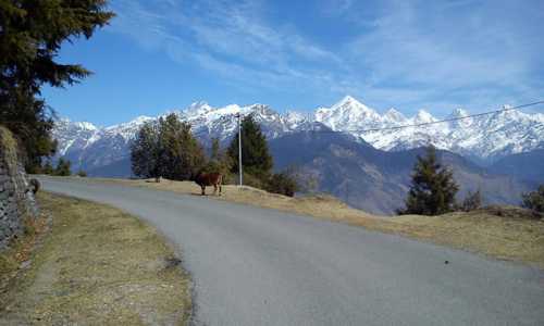 hill stations in Munsiyari