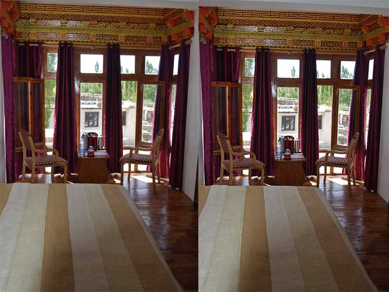 Hotel Mansarover Leh