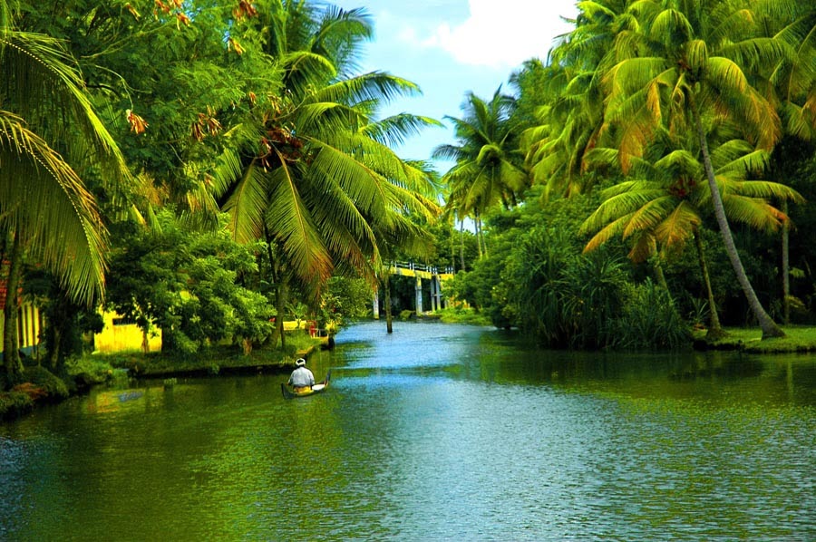 Excellent Kerala Tour