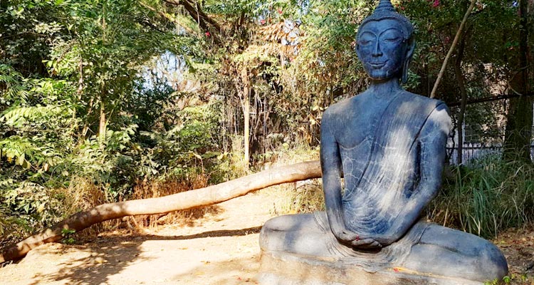 Osho Ashram